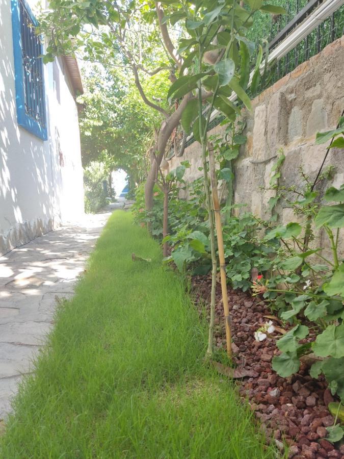 Apart Тургутрейс Экстерьер фото