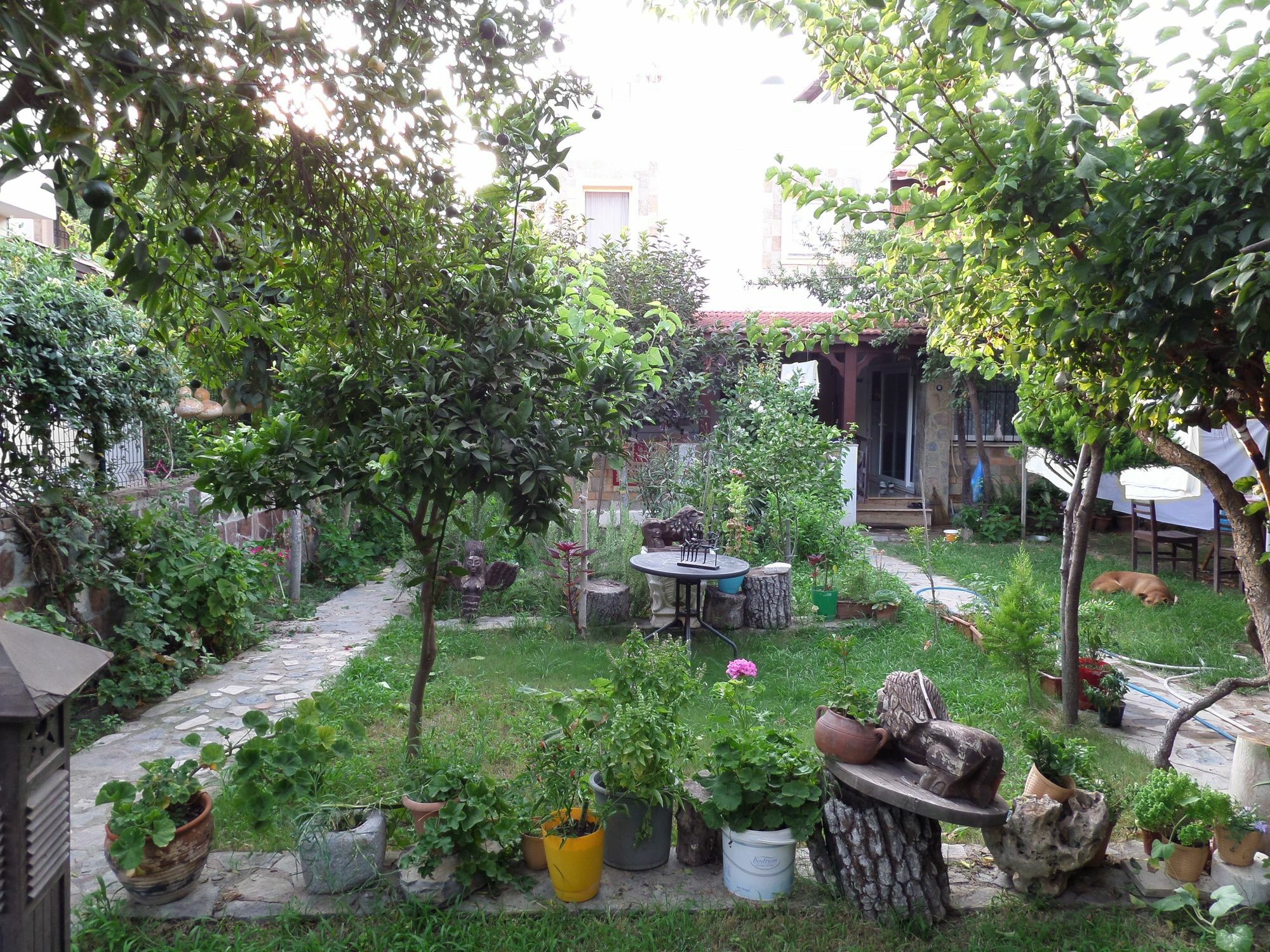 Apart Тургутрейс Экстерьер фото